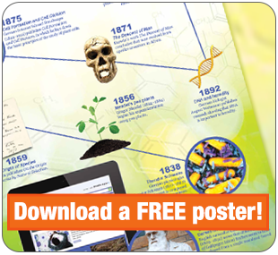 Download a Free Poster